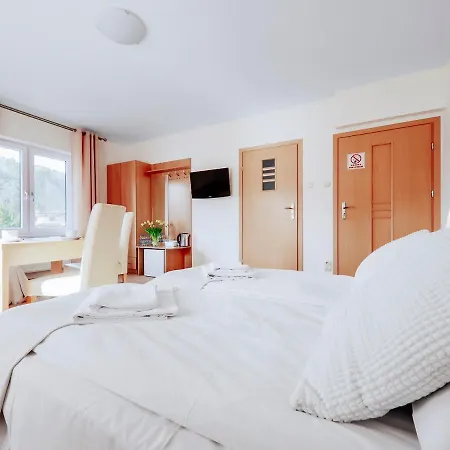 Otel Laziska 3*