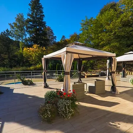 Otel Laziska 3*