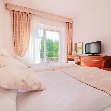 Laziska 3*